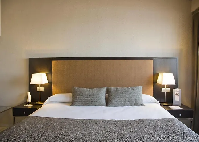 Hotel Exe Adelfas 4*